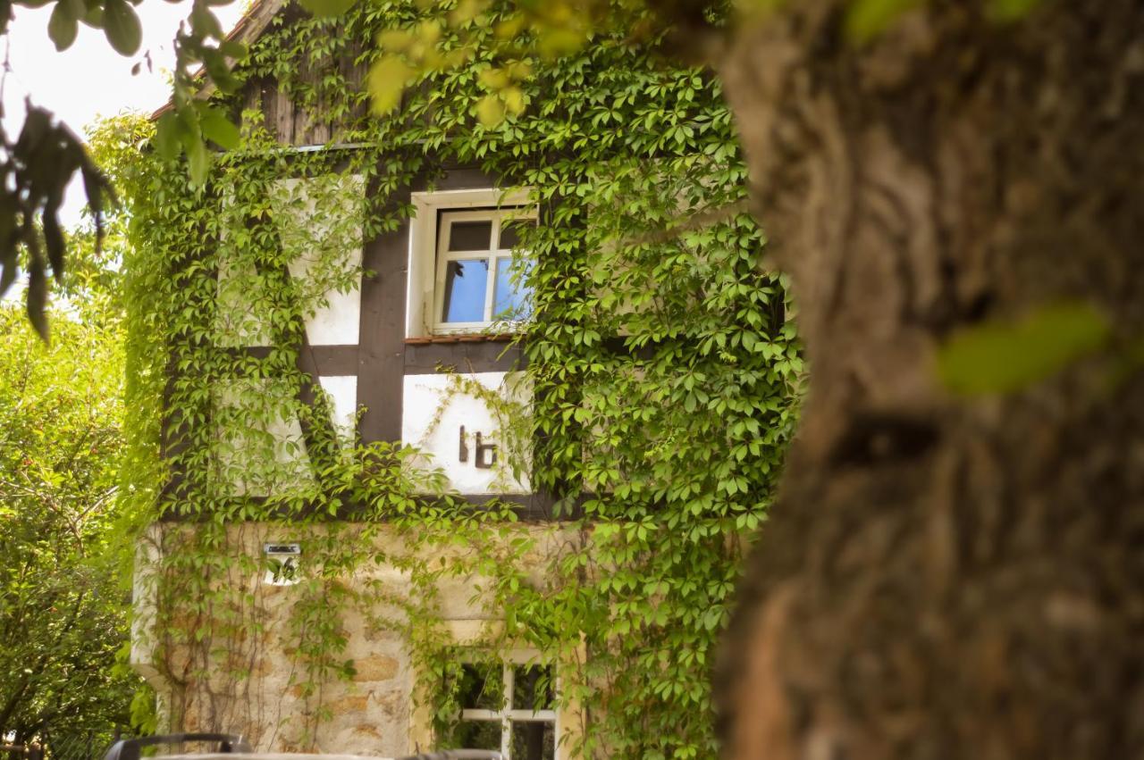 Naturferienwohnung Schopstal Kunnersdorf 외부 사진