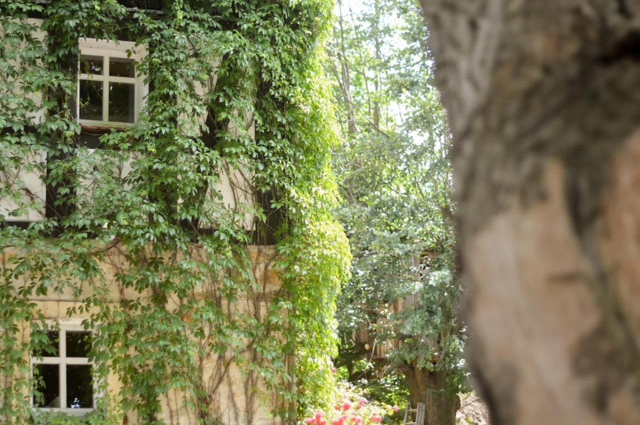 Naturferienwohnung Schopstal Kunnersdorf 외부 사진